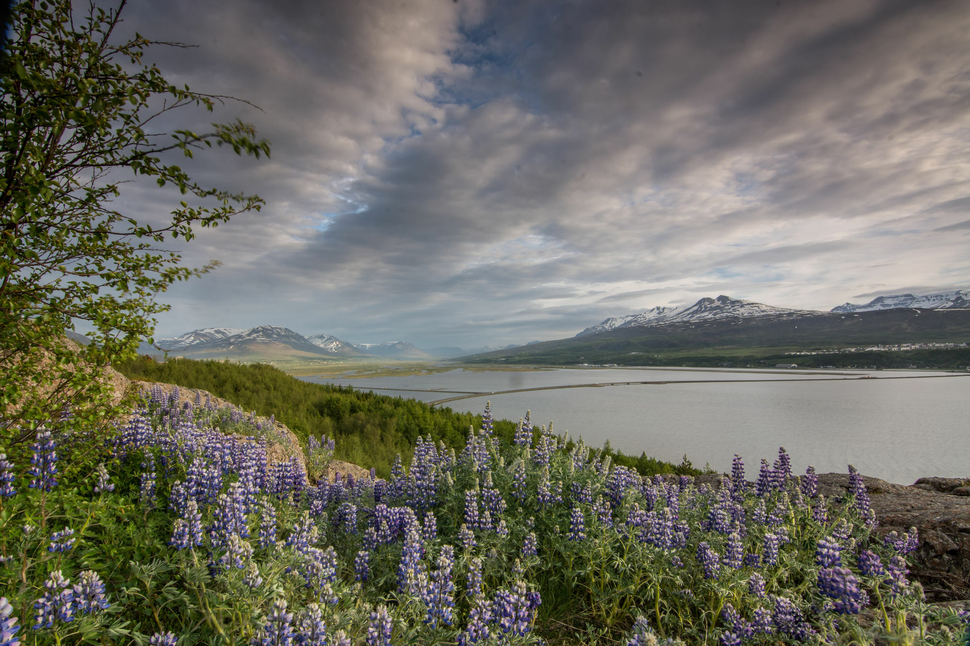 Viking Cottages & Apartments Akureyri Exterior foto